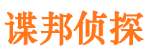 龙华市调查公司